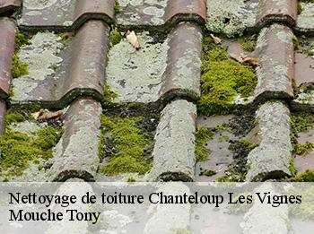 Nettoyage de toiture  chanteloup-les-vignes-78570 Mouche Tony