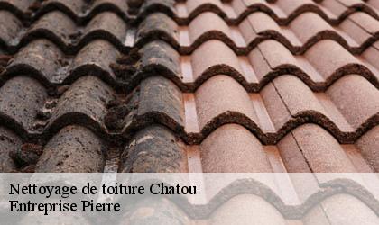 Nettoyage de toiture 78400