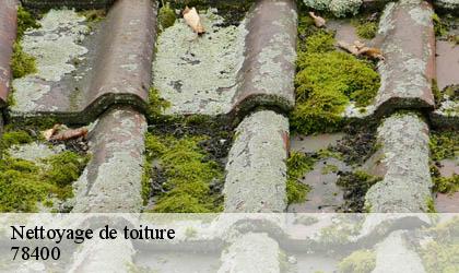 Nettoyage de toiture 78400