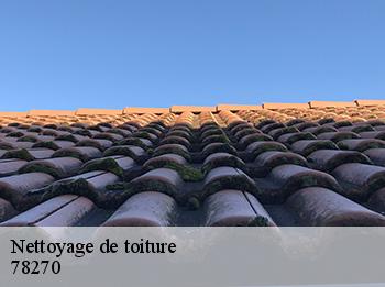 Nettoyage de toiture