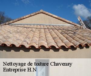 Nettoyage de toiture  chavenay-78450 Entreprise H.N