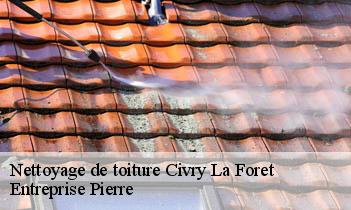 Nettoyage de toiture civry-la-foret-78910 Entreprise Pierre