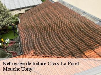 Nettoyage de toiture