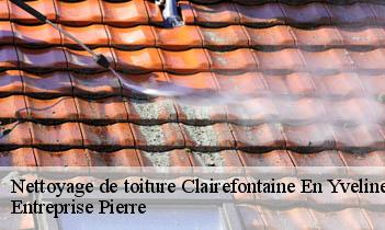Nettoyage de toiture clairefontaine-en-yvelines-78120 Entreprise Pierre