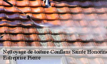 Nettoyage de toiture conflans-sainte-honorine-78700 Entreprise Pierre