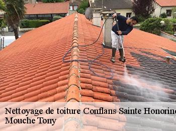 Nettoyage de toiture 78700