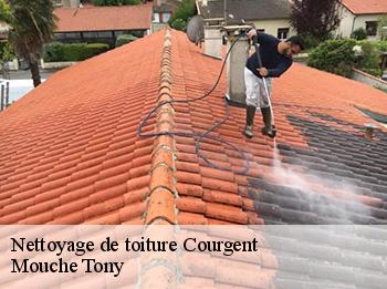 Nettoyage de toiture  78790