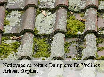 Nettoyage de toiture  dampierre-en-yvelines-78720 Artisan Stephan
