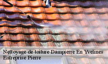 Nettoyage de toiture dampierre-en-yvelines-78720 Entreprise Pierre