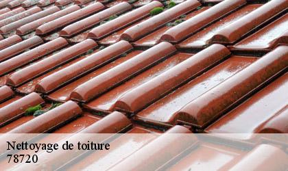 Nettoyage de toiture 78720