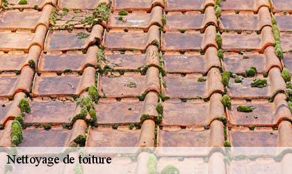 Nettoyage de toiture 78720