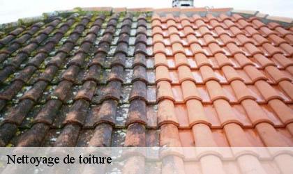 Nettoyage de toiture