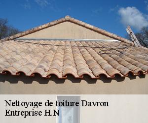 Nettoyage de toiture  davron-78810 Entreprise H.N