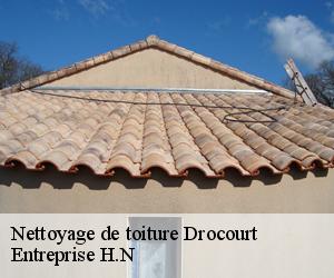 Nettoyage de toiture  drocourt-78440 Entreprise H.N