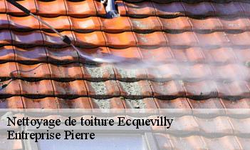 Nettoyage de toiture ecquevilly-78920 Entreprise Pierre