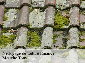 Nettoyage de toiture emance-78125 Mouche Tony
