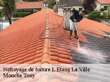 Nettoyage de toiture 78620