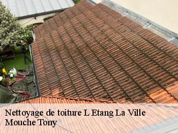 Nettoyage de toiture
