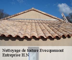 Nettoyage de toiture  evecquemont-78740 Entreprise H.N
