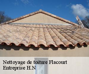 Nettoyage de toiture  flacourt-78200 Entreprise H.N