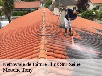 Nettoyage de toiture 78410