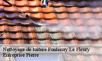 Nettoyage de toiture  fontenay-le-fleury-78330 Entreprise H.N