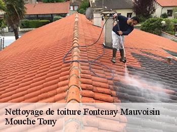 Nettoyage de toiture 78200