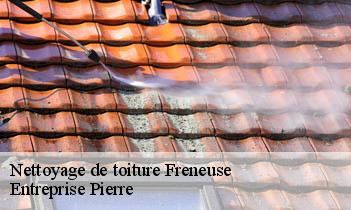 Nettoyage de toiture  freneuse-78840 Entreprise Pierre