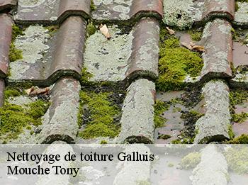 Nettoyage de toiture galluis-78490 Mouche Tony