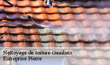 Nettoyage de toiture gambais-78950 Entreprise Pierre