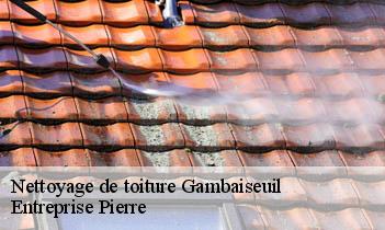 Nettoyage de toiture gambaiseuil-78490 Entreprise Pierre