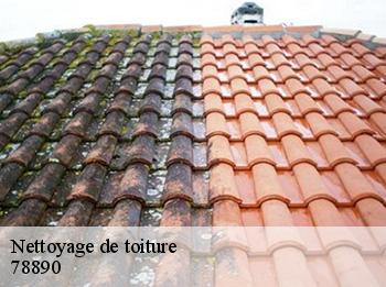 Nettoyage de toiture  78890