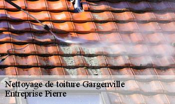 Nettoyage de toiture  gargenville-78440 Entreprise Pierre