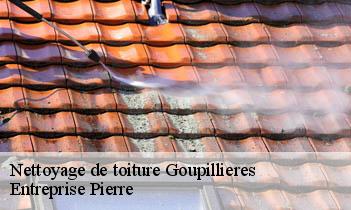 Nettoyage de toiture goupillieres-78770 Entreprise Pierre