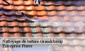 Nettoyage de toiture grandchamp-78113 Entreprise Pierre