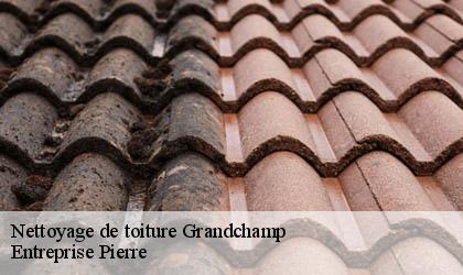 Nettoyage de toiture 78113
