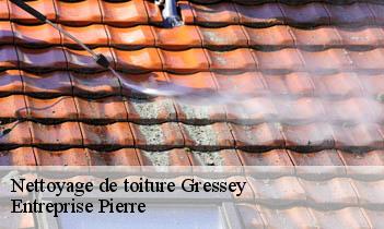 Nettoyage de toiture  gressey-78550 Entreprise H.N