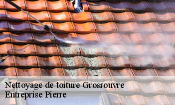 Nettoyage de toiture grosrouvre-78490 Entreprise Pierre