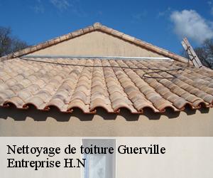 Nettoyage de toiture  guerville-78930 Eugene Toiture