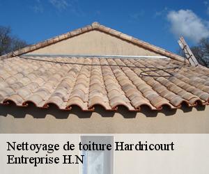 Nettoyage de toiture  hardricourt-78250 Entreprise H.N