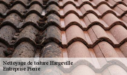 Nettoyage de toiture 78790