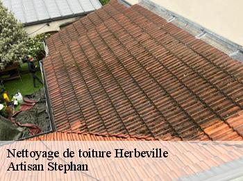 Nettoyage de toiture