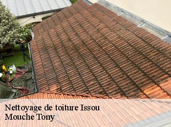 Nettoyage de toiture