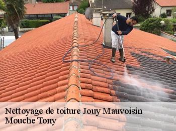 Nettoyage de toiture  78200