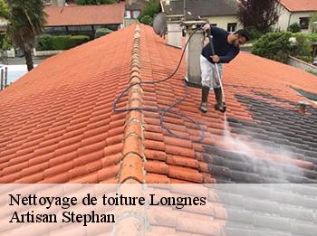 Nettoyage de toiture  78980
