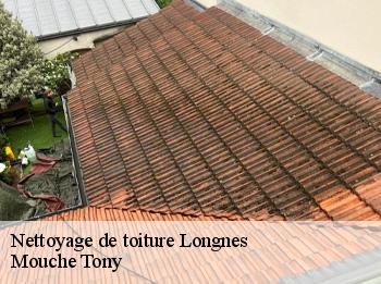 Nettoyage de toiture