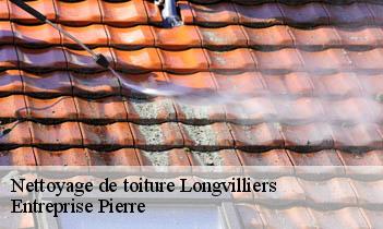 Nettoyage de toiture  longvilliers-78730 Entreprise H.N