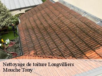 Nettoyage de toiture