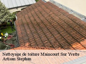 Nettoyage de toiture
