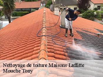 Nettoyage de toiture 78600